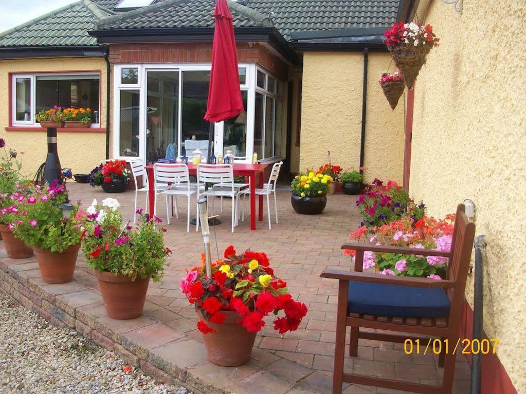 Krakow B&B Dundalk Ngoại thất bức ảnh