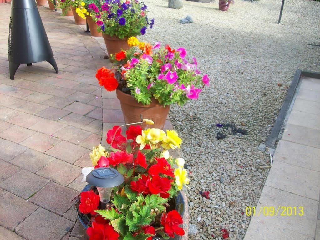 Krakow B&B Dundalk Ngoại thất bức ảnh